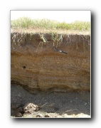 Click to enlarge this image